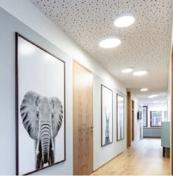 Roby 2.6 IP44 Ceiling Surface Plafondlamp 18W Dimbaar Ø265mm 7 Roby 2.6 IP44 Ceiling Surface Plafondlamp 18W Dimbaar Ø265mm -Flos Verkoop image 212