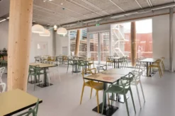 Kartell FL/Y Hanglamp Ø52 LED Olijfgroen -Flos Verkoop x886x886 1090.jpg.pagespeed.ic .lEcrEbUKsv