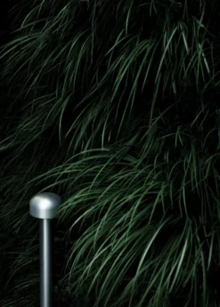 Flos Bellhop Sokkellamp LED Hoog Grijs -Flos Verkoop x886x886 flos bellhop sokkellamp led hoog.jpg.pagespeed.ic .cCbv53up24