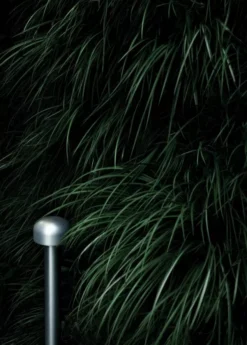 Flos Bellhop Sokkellamp LED Laag Antraciet 11 Flos Bellhop Sokkellamp LED Laag Antraciet -Flos Verkoop x886x886 flos bellhop sokkellamp led laag3.jpg.pagespeed.ic .ix25f2Kfdw