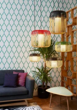 Forestier Bamboo Light Hanglamp Extra Small Ø27 Rood 7 Forestier Bamboo Light Hanglamp Extra Small Ø27 Rood -Flos Verkoop x886x886 forestier bamboo light hanglamp extra small4.jpg.pagespeed.ic .CJVMG uvq9