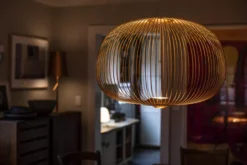 Foscarini Spokes 3 Hanglamp Ø61 LED Dimbaar Goud -Flos Verkoop x886x886 foscarini spokes 3 hanglamp led10.jpg.pagespeed.ic .4 7UAlHAbn