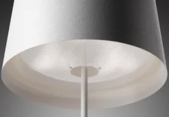 Foscarini Twiggy Lettura Vloerlamp Zwart -Flos Verkoop x886x886 foscarini twiggy lettura vloerlamp5.jpg.pagespeed.ic .b5Jc5MqvPz