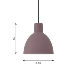 Louis Poulsen Toldbod Ø25 Hanglamp Blauwgrijs -Flos Verkoop x886x886 louis poulsen toldbod 250 hanglamp11.jpg.pagespeed.ic .JyHW6hDXxE