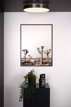 Lucide Malin Plafondlamp Ø39 LED Zwart -Flos Verkoop x886x886 lucide malin plafondlamp led15.jpg.pagespeed.ic .HoQU0SXE0Q