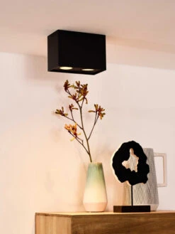 Lucide Tube 2 Spot Zwart -Flos Verkoop x886x886 lucide tube 2 spot.jpg.pagespeed.ic .4fOwirDffE