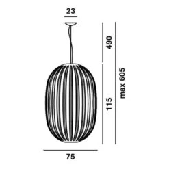 Foscarini Plass Grande Hanglamp Ø75 Retrofit Grijs -Flos Verkoop x886x886 plass hanglamp technische details.jpg.pagespeed.ic .S0KBm679B2